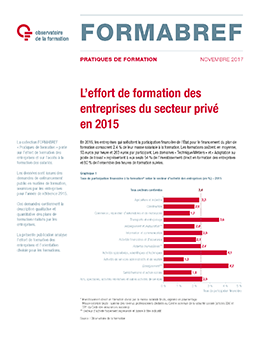 L'effort de formation des entreprises du secteur privé en 2015